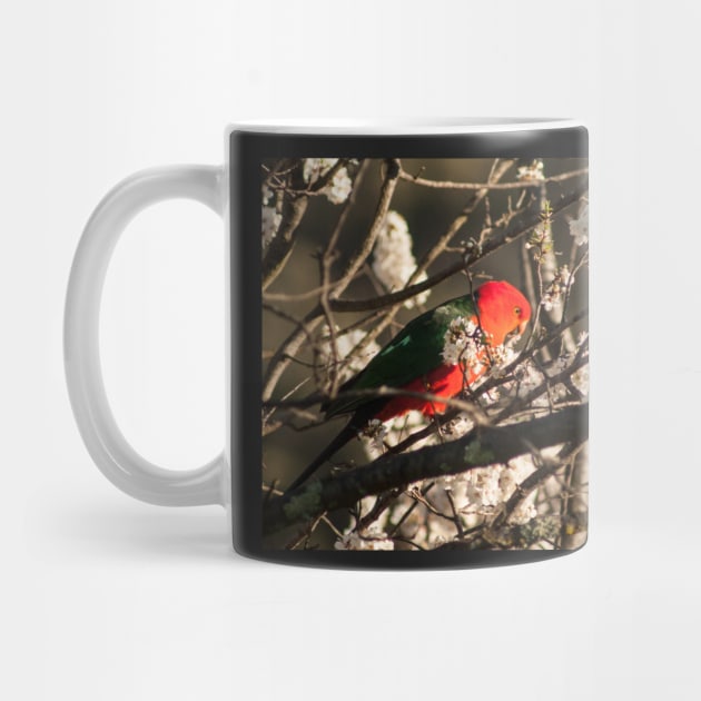 Australian King Parrot by DeborahMcGrath